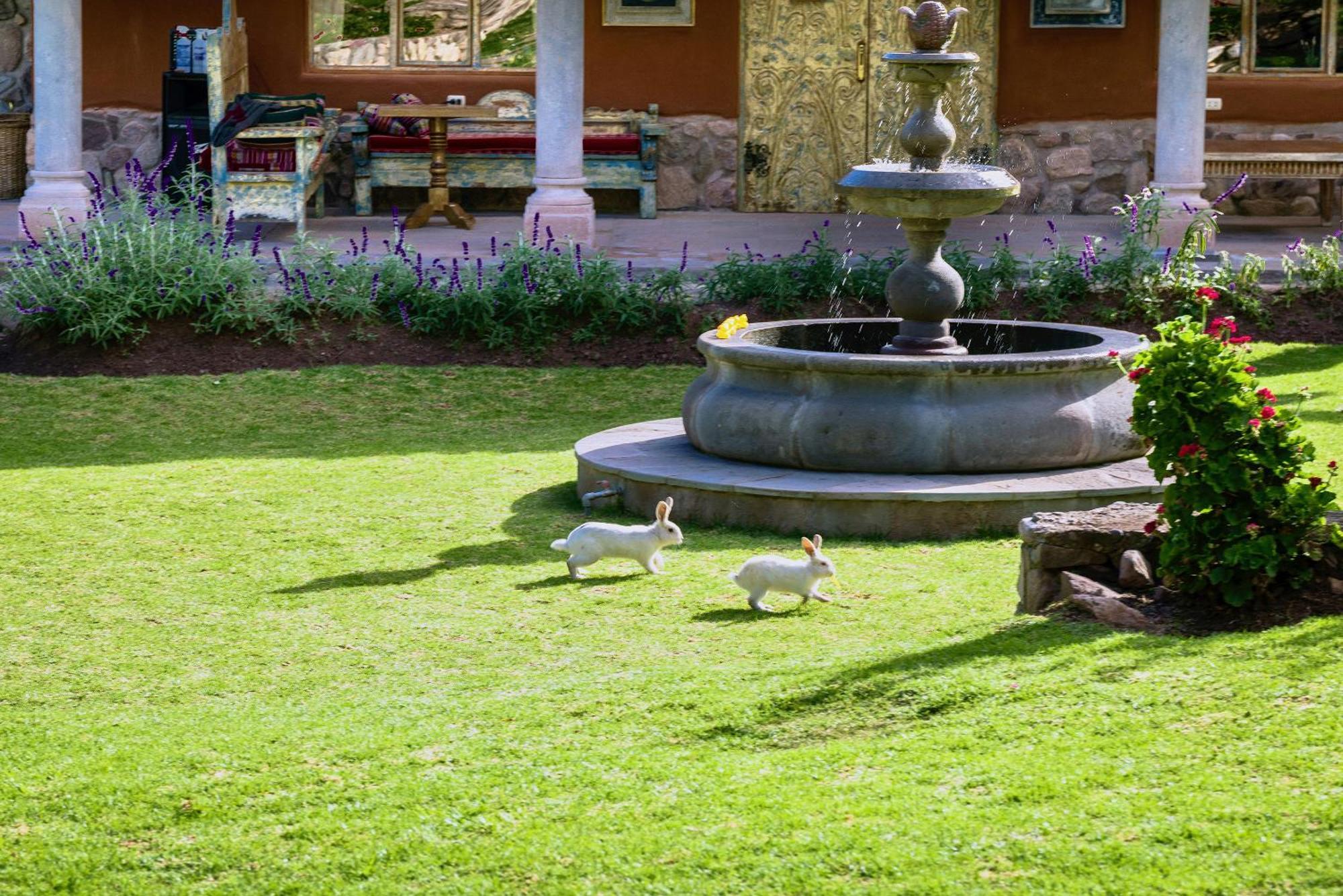 Villa Apu Chicon Урубамба Екстер'єр фото